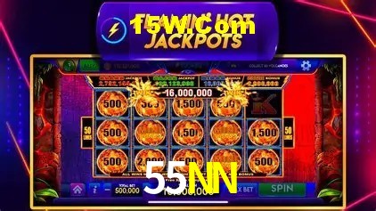 Flash Promotion 55NN